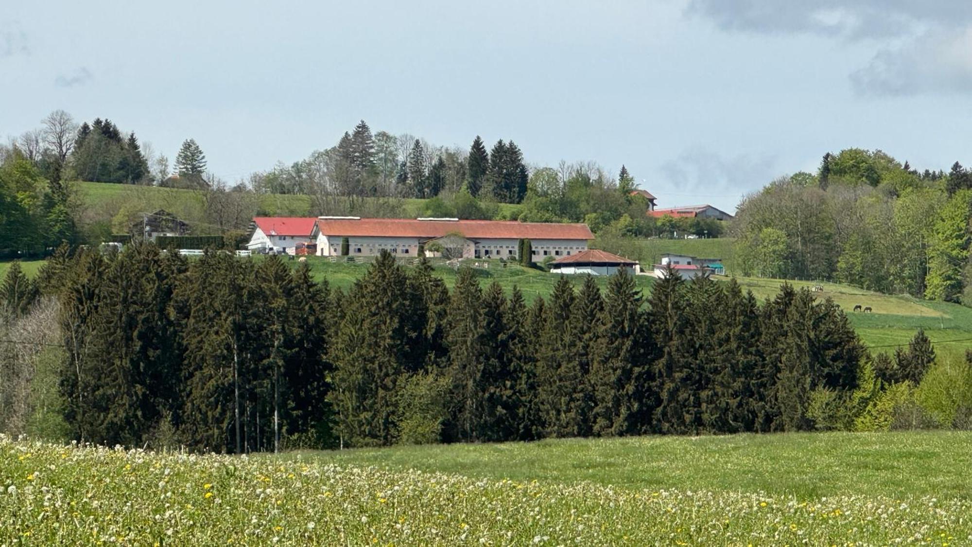 דירות Buchenberg  Gut Buchenhof מראה חיצוני תמונה